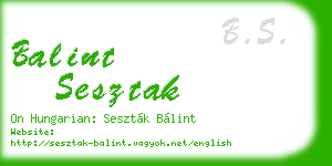 balint sesztak business card